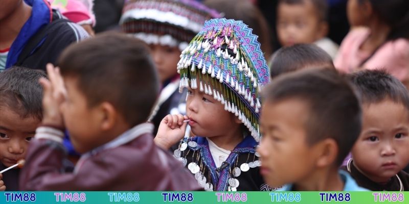 Các hoạt động thiết thực của Ươm mầm tương lai TIM88