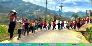 Học bổng tài năng TIM88