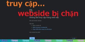 TIM88 bị chặn