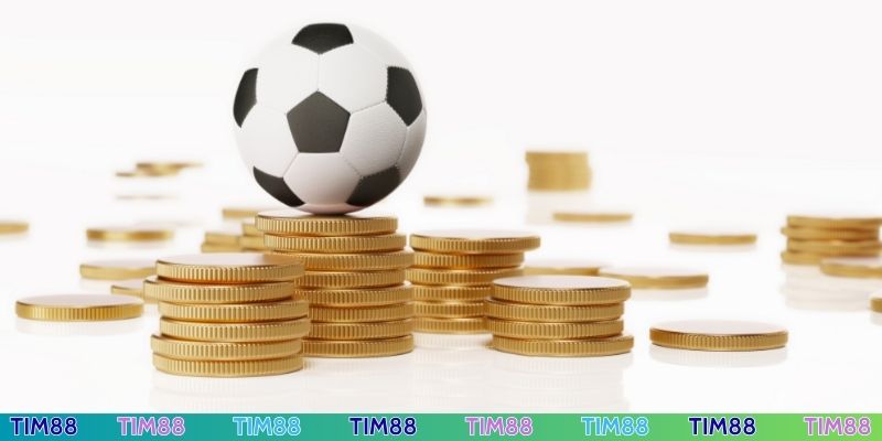 Chính sách bảo mật nổi bật tại thể thao Tim88
